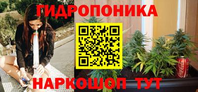 сатива Лесосибирск