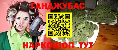 сатива Лесосибирск