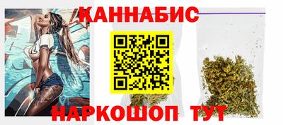 сатива Лесосибирск
